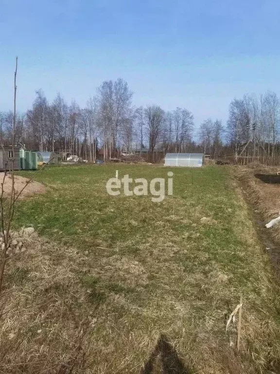 Участок в Ленинградская область, Выборгский район, Рощинское городское ... - Фото 2