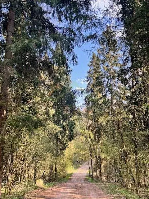 Участок в Московская область, Рузский муниципальный округ, Люкс ... - Фото 1