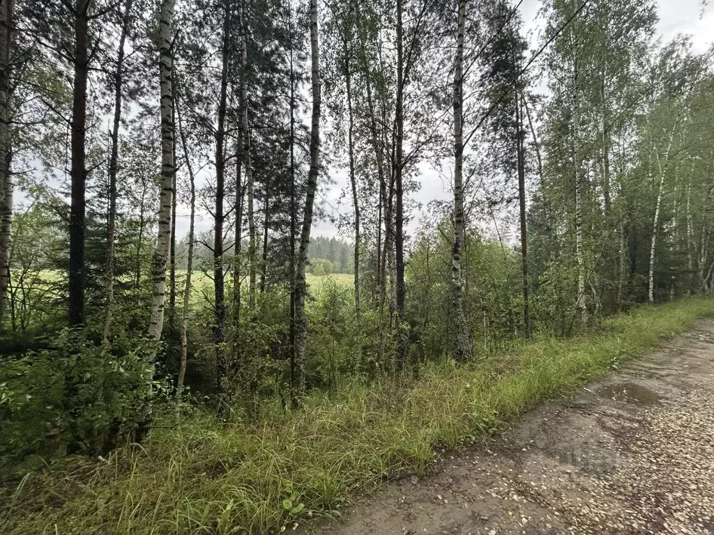 Участок, 320 сот., фермерское хоз-во - Фото 0