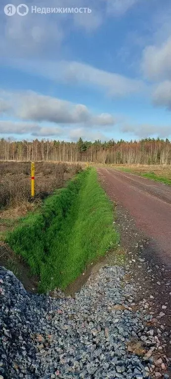 Участок в Приозерский район, Сосновское сельское поселение, деревня ... - Фото 1