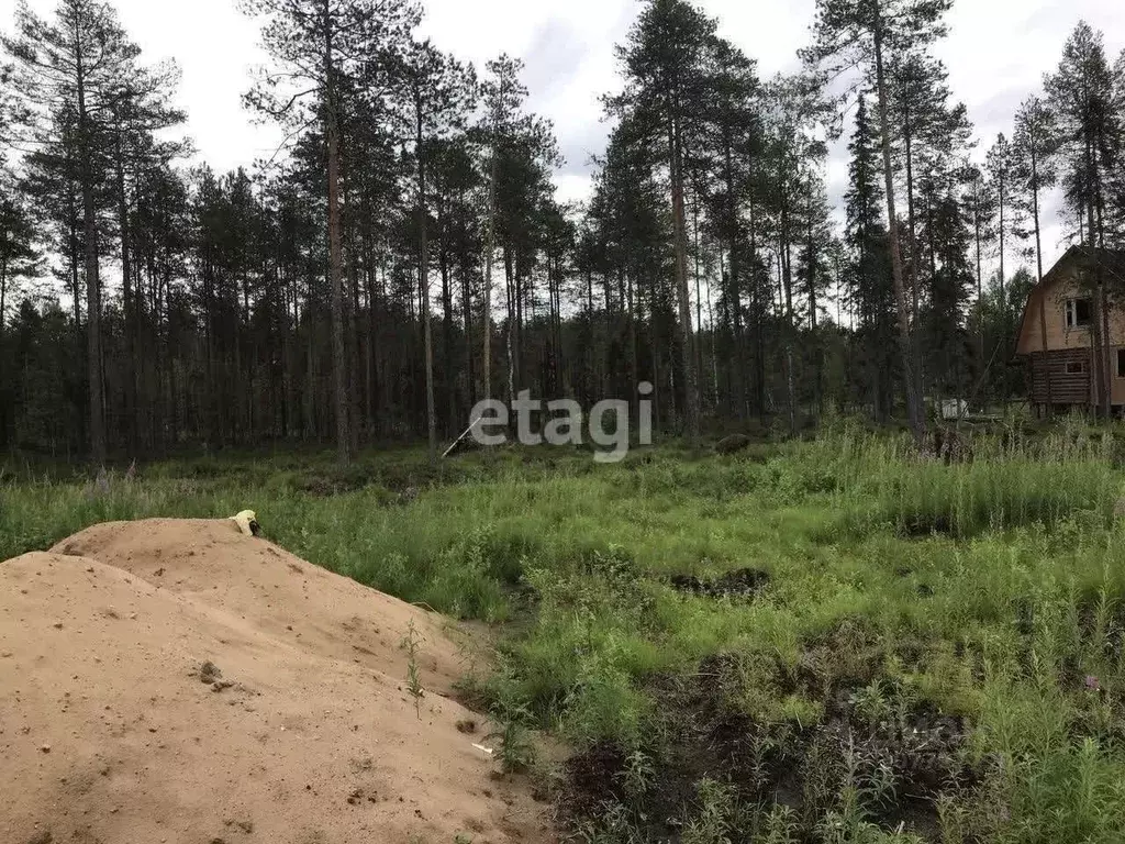 Участок в Коми, Корткеросский район, Додзь муниципальное образование, ... - Фото 0