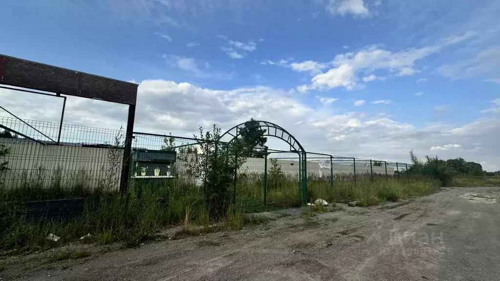 Торговая площадь в Нижегородская область, Выкса городской округ, ... - Фото 1