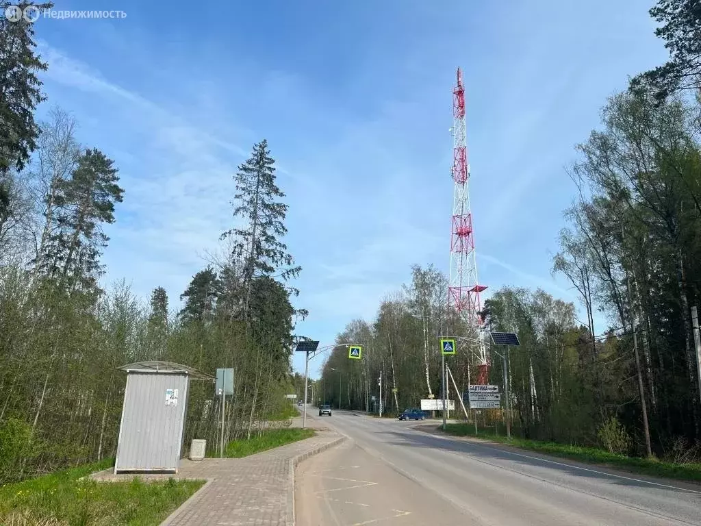 Участок в Ленинградская область, Сосновый Бор (10.44 м) - Фото 0