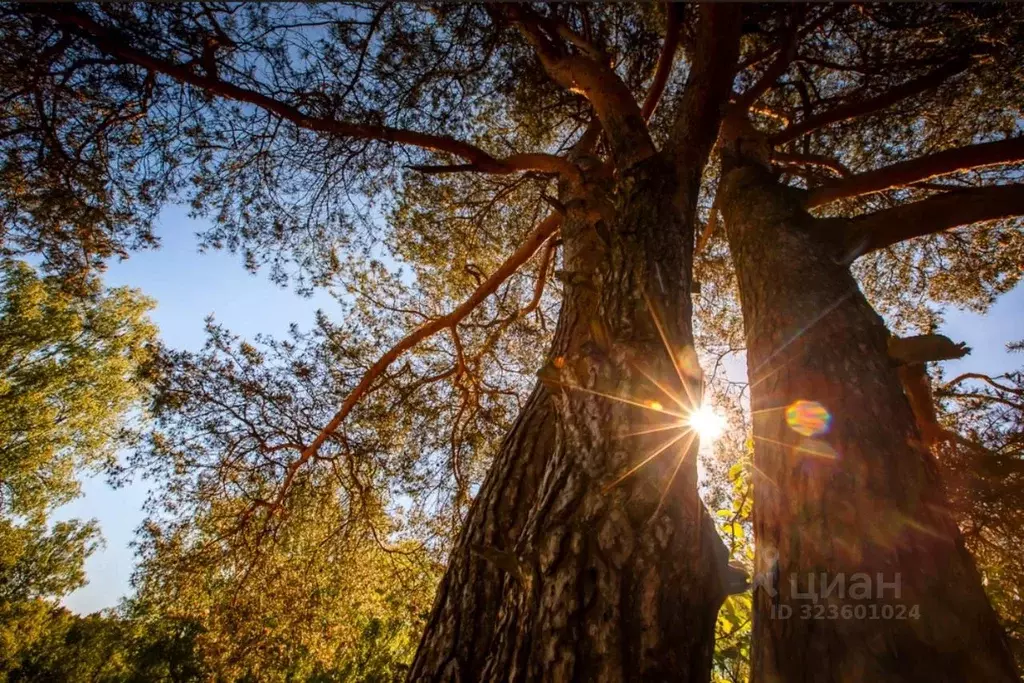 Участок в Московская область, Ступино городской округ, Эко Берег кп ... - Фото 1