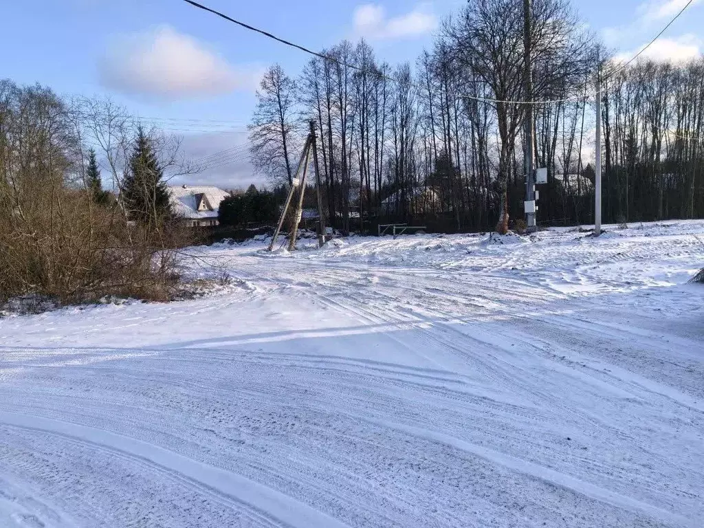 Участок в Московская область, Талдомский городской округ, д. Карманово ... - Фото 1