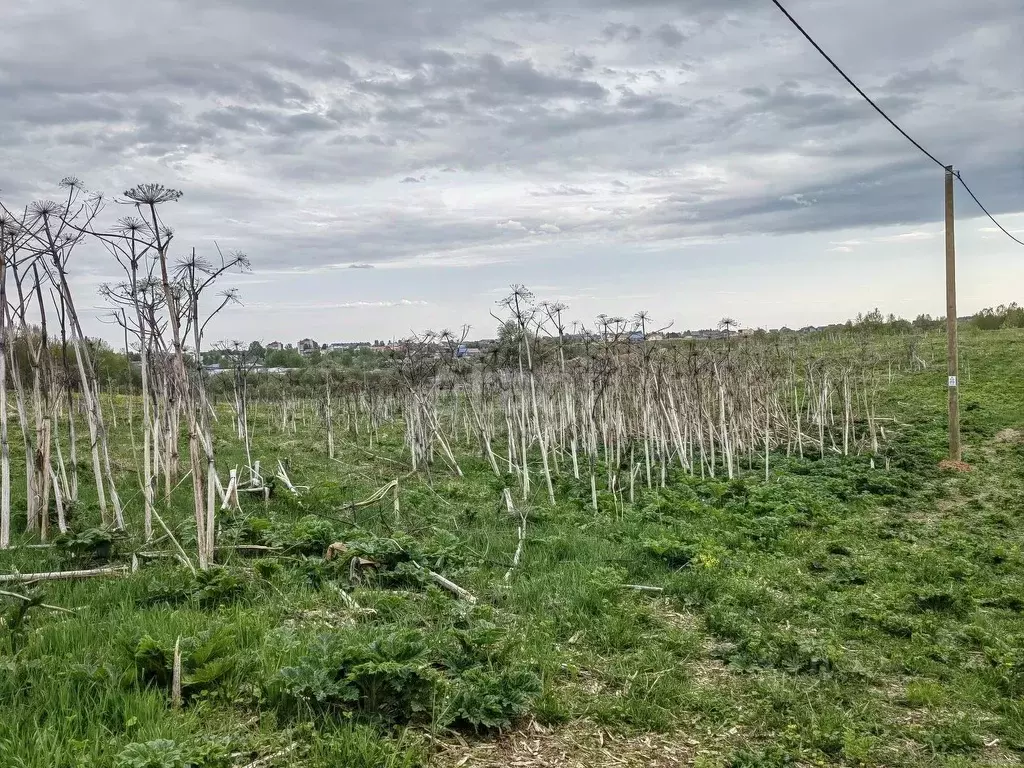 Участок в Коми, Сыктывдинский район, с. Выльгорт  (10.0 сот.) - Фото 2