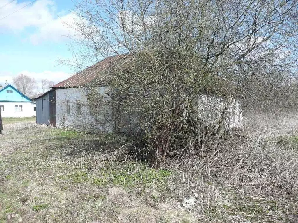 Дом в Тульская область, Дубенский округ, д. Старое Берковое  (30 м) - Фото 1