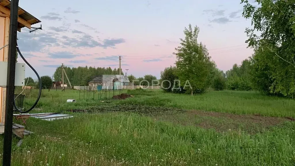 Участок в Новосибирская область, Коченевский район, Рябина садовое ... - Фото 1
