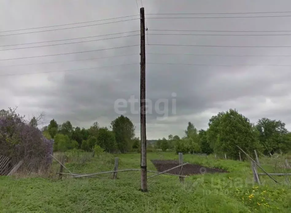 Участок в Ленинградская область, Волховский район, Кисельнинское ... - Фото 1