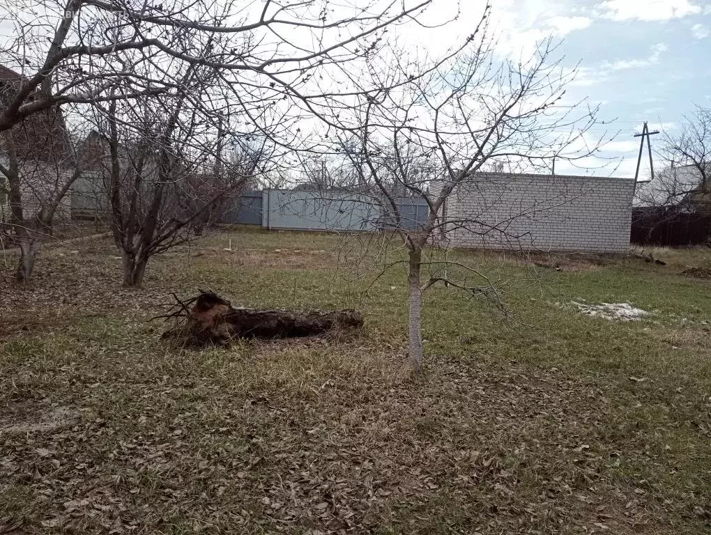Дом в Червлёновское сельское поселение, СНТ Химик, Ореховая улица (33 ... - Фото 1