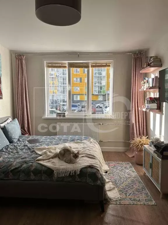 1-к кв. Воронежская область, Воронеж Московский просп., 191 (37.0 м) - Фото 1