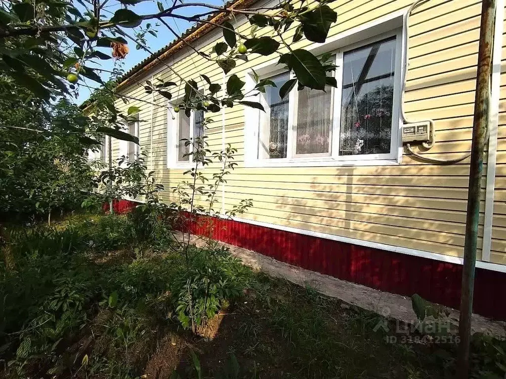 3-к кв. Белгородская область, Новый Оскол Пролетарская ул., 2 (60.1 м) - Фото 1