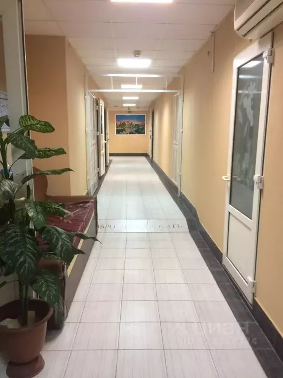 Помещение свободного назначения в Омская область, Омск ул. 5-я Линия, ... - Фото 1