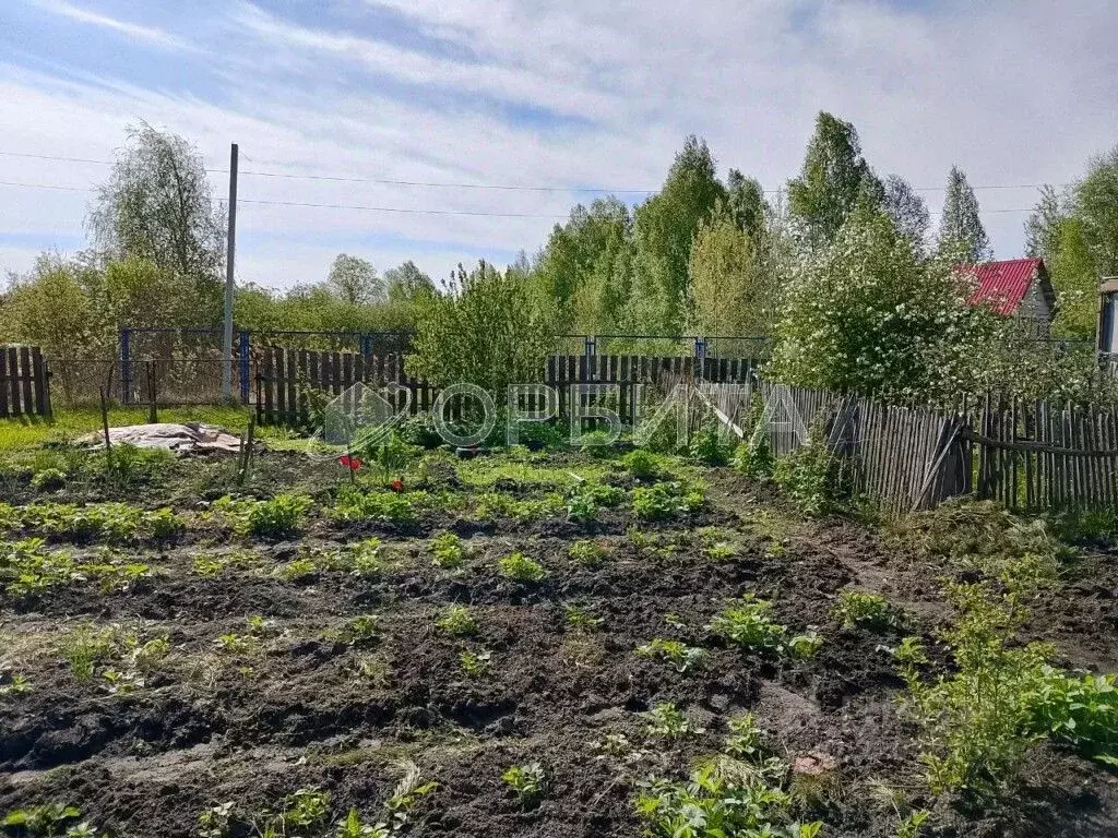Дом в Тюменская область, Нижнетавдинский район, Лесная сказка СНТ ул. ... - Фото 1