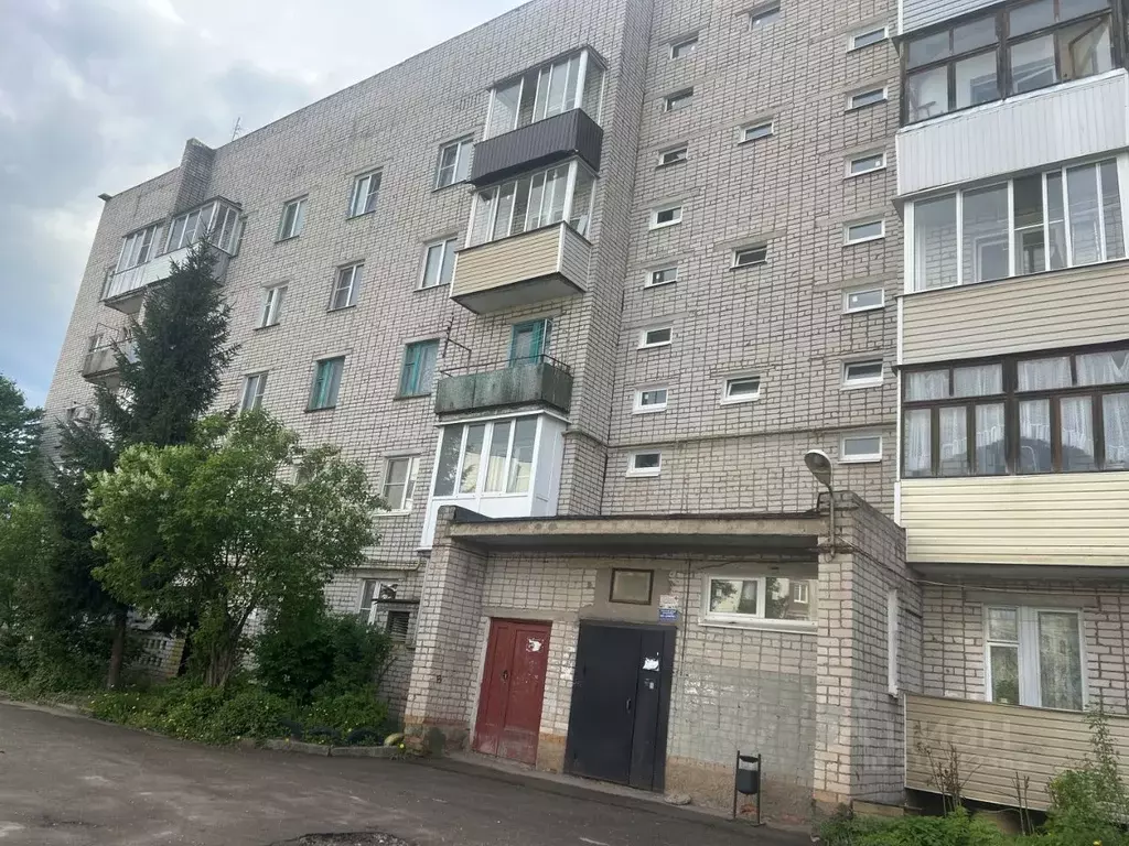 1-к кв. Новгородская область, Старая Русса ул. Поперечная, 15 (34.8 м) - Фото 0