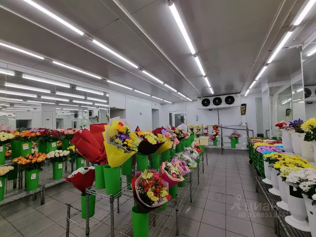 Помещение свободного назначения в Санкт-Петербург ул. Зенитчиков, 5 ... - Фото 1