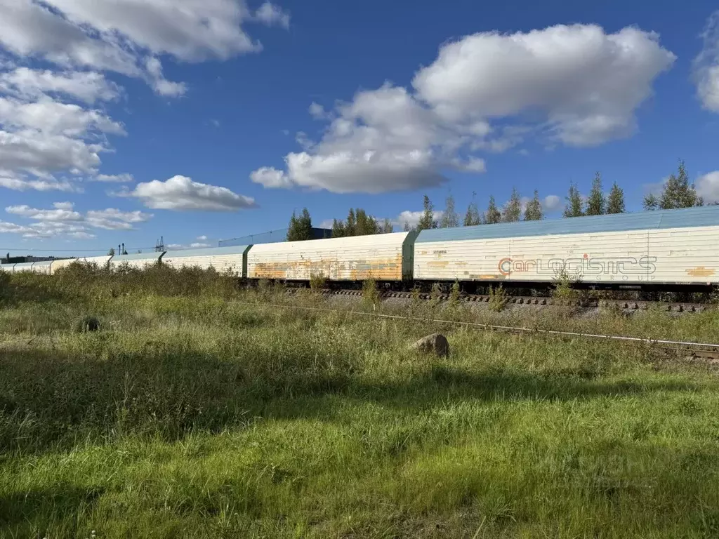 Склад в Ленинградская область, Всеволожский район, Заневское городское ... - Фото 2