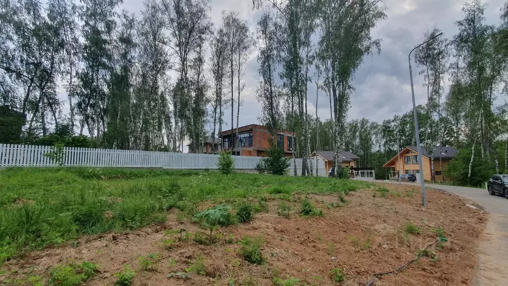 Участок в Московская область, Домодедово Фламандия кп, 314 (9.0 сот.) - Фото 2