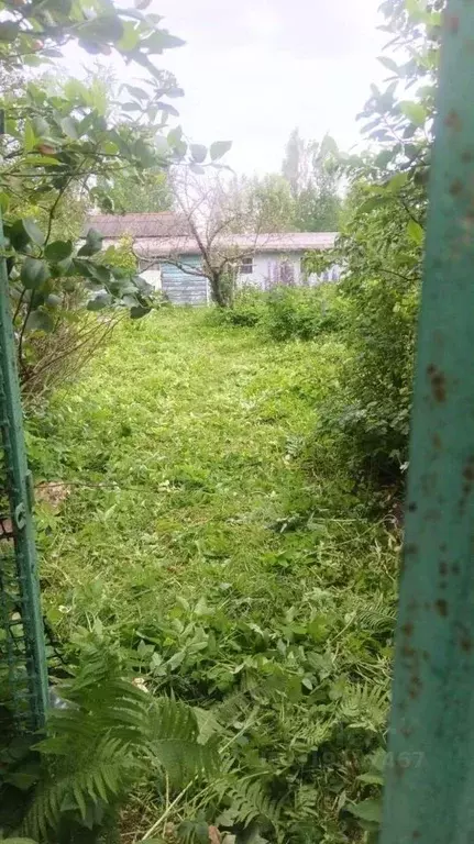 Участок в Ленинградская область, Гатчинский район, пос. Прибытково ... - Фото 1