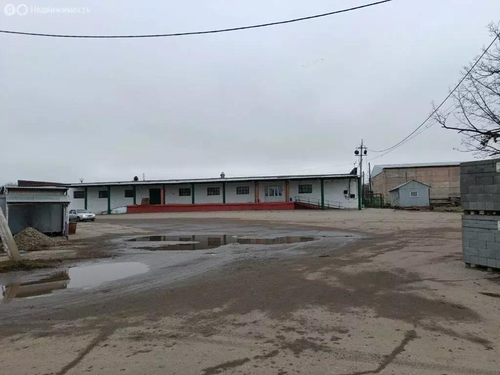 Торговая площадь (27534 м) - Фото 1