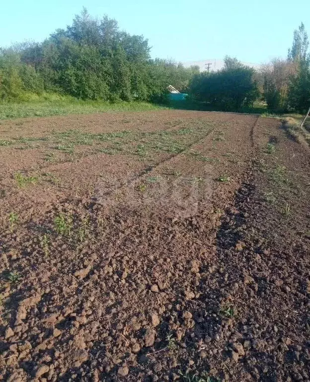 Участок в Ростовская область, Аксайский район, Грушевская ст-ца ... - Фото 2