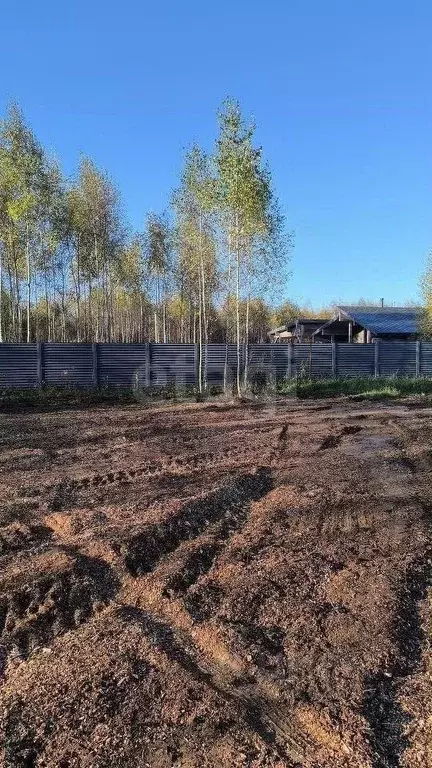 Участок в Кировская область, Киров городской округ, д. Чарушины ул. ... - Фото 1