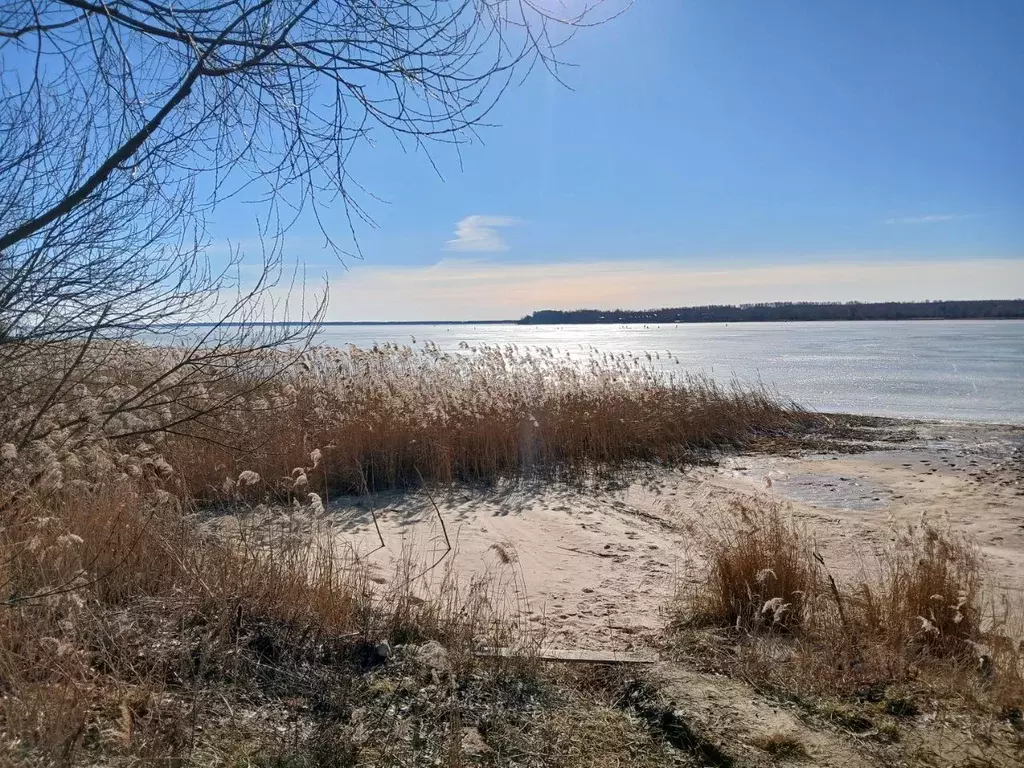 Участок в Нижегородская область, Чкаловск городской округ, д. Черницы  ... - Фото 2