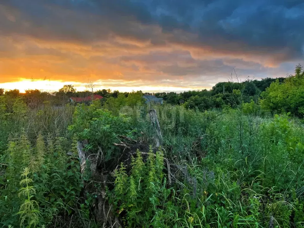 Участок в Белгородская область, Старооскольский городской округ, с. ... - Фото 0