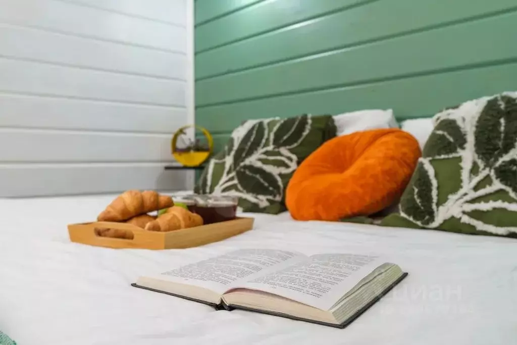 Дом в Свердловская область, Верхняя Пышма Солнечный СНТ,  (30 м) - Фото 2