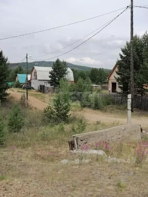 Участок в Бурятия, Тарбагатайский район, Заводское с/пос, Булаг ДНТ ... - Фото 1