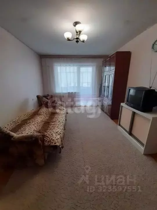 1-к кв. Курганская область, Шадринск Красноармейская ул., 35 (34.5 м) - Фото 1