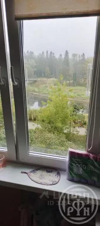 3-к кв. Ленинградская область, Луга ул. Красной Артиллерии, 34 (56.3 ... - Фото 2