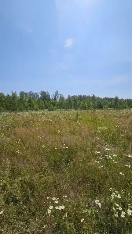 Участок в Московская область, Павлово-Посадский городской округ, д. ... - Фото 2