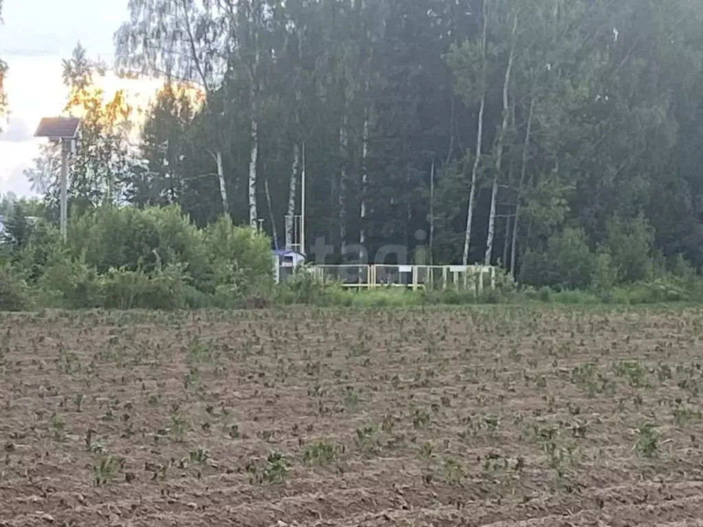 Участок в Нижегородская область, Городецкий муниципальный округ, д. ... - Фото 2