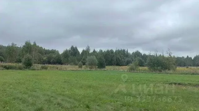 Участок в Московская область, Щелково городской округ, д. Глазуны  ... - Фото 1