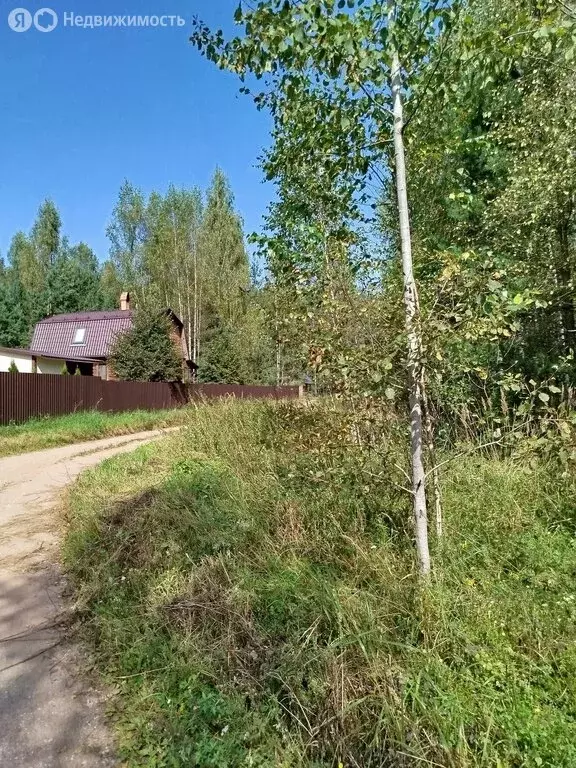 Участок в Псковская область, Невельский муниципальный округ, деревня ... - Фото 1