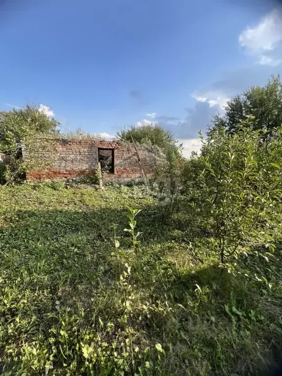 Участок в Тульская область, Киреевский район, Шварцевское ... - Фото 1