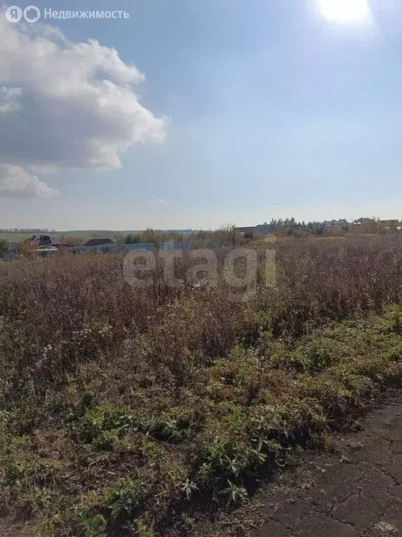 Участок в Саранск, СНТ Натуралист (10 м) - Фото 2