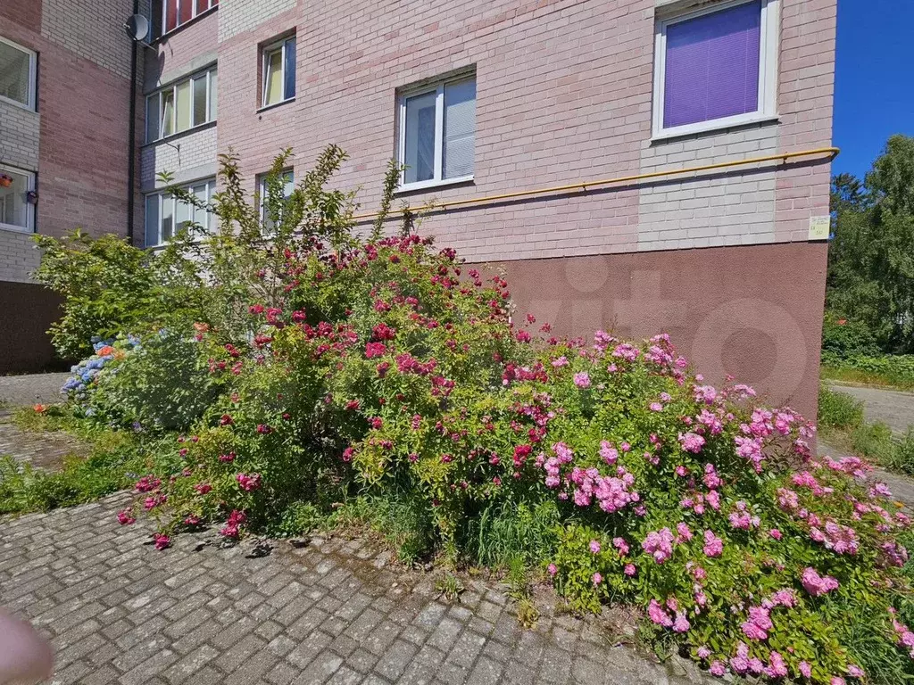 Продам торговое помещение, 27.8 м - Фото 0