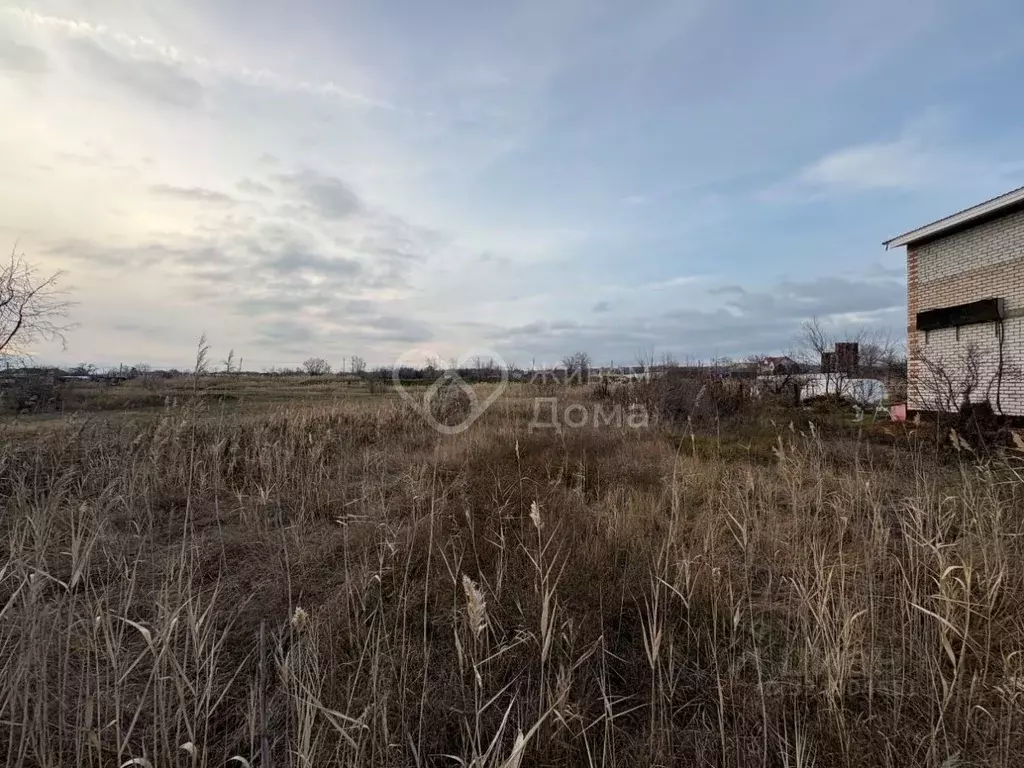 Участок в Волгоградская область, Светлоярский район, ... - Фото 2