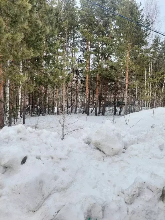 Участок в Новосибирская область, с. Новолуговое ул. Амурская (10.0 ... - Фото 2