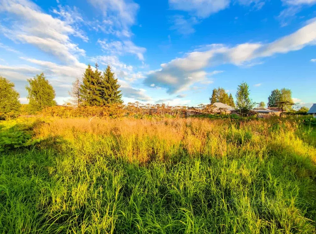 Участок в Вологодская область, Череповецкий район, Нелазское с/пос, с. ... - Фото 1