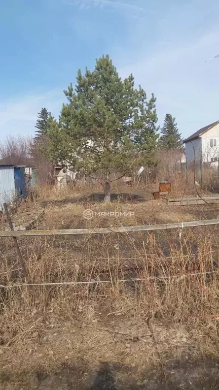 Участок в Новосибирская область, Новосибирск Бугринская роща СНТ, 69 ... - Фото 0