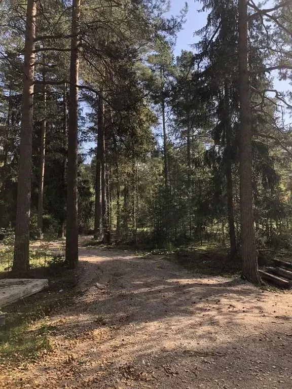 Участок в Ленинградская область, Луга  (1650.0 сот.) - Фото 1