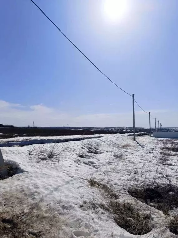 Участок в Самарская область, Кинельский район, Чубовка с/пос, с. ... - Фото 2