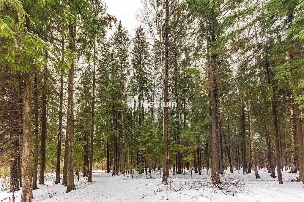 Участок в Московская область, Одинцовский городской округ, д. ... - Фото 1