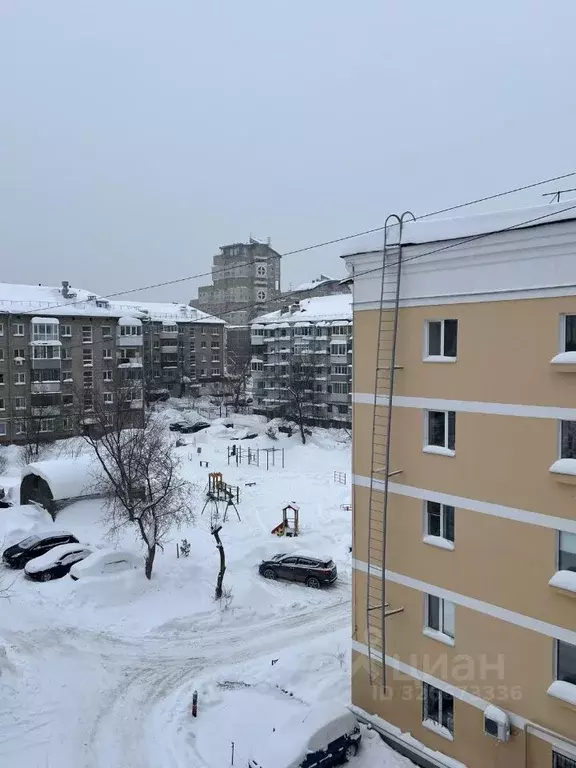 1-к кв. Пермский край, Пермь ул. Ленина, 80 (29.9 м) - Фото 2