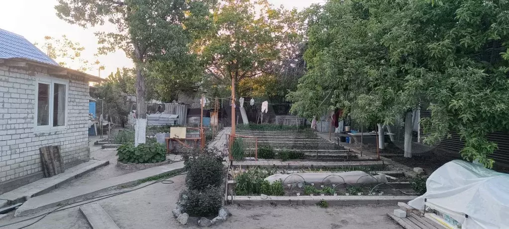 Дом 71,2 м на участке 6 сот. - Фото 1