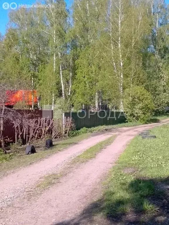 Участок в Морозовский сельсовет, СПК Успех, 3/1-7 (11 м) - Фото 2