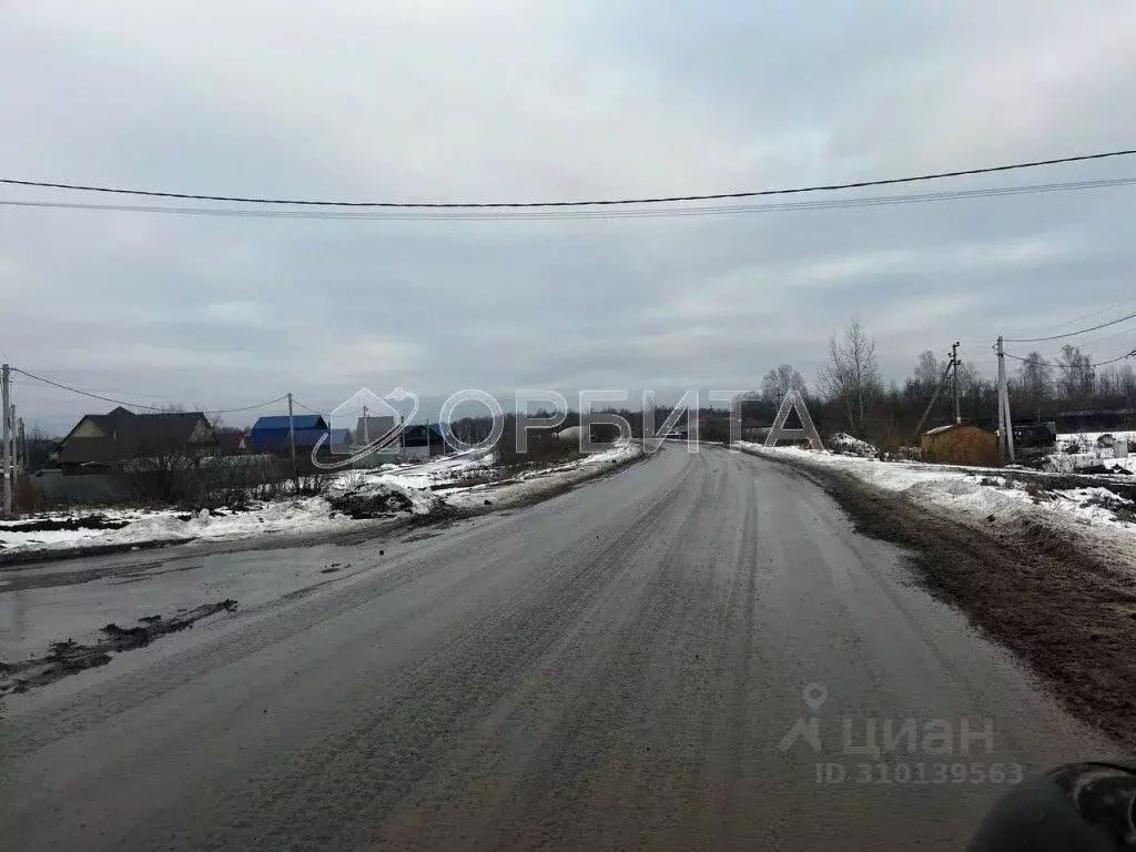 Участок в Тюменская область, Тюменский район, с. Горьковка Сибирская ... - Фото 0